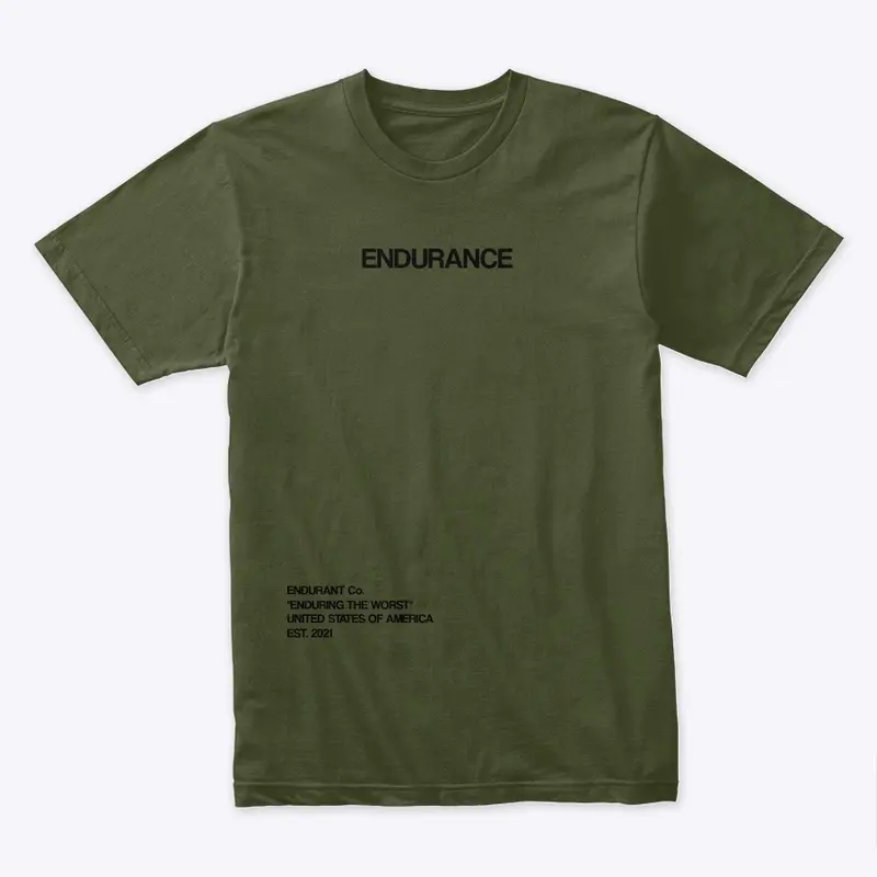 ENDURANCE tee